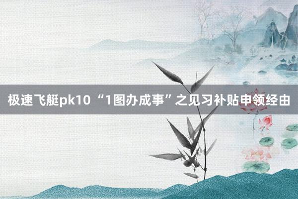 极速飞艇pk10 “1图办成事”之见习补贴申领经由