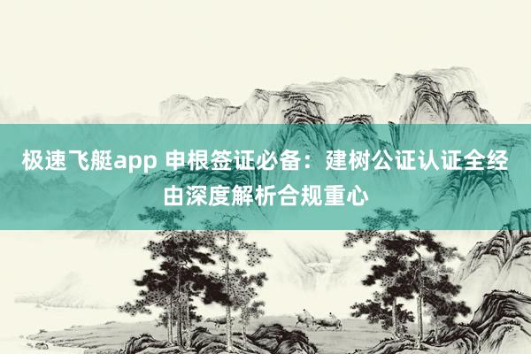 极速飞艇app 申根签证必备：建树公证认证全经由深度解析合规重心