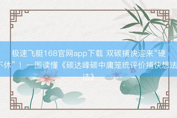 极速飞艇168官网app下载 双碳捕快迎来“硬不休” ！一图读懂《碳达峰碳中庸笼统评价捕快想法》